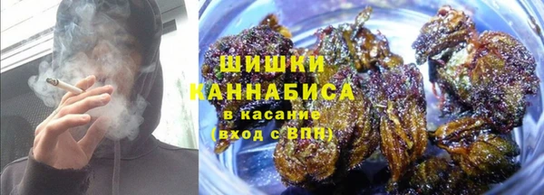 индика Бородино